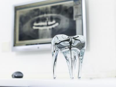 R&ouml;ntgendiagnostik